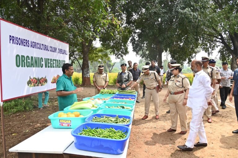 561042743_1410905370391050_8193907593149467852_n