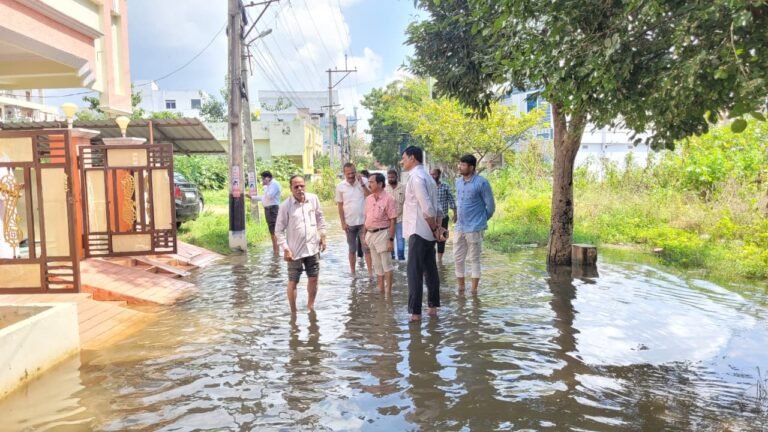 WhatsApp Image 2025-10-08 at 2.33.41 PM