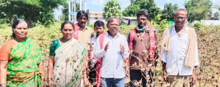 WhatsApp Image 2025-10-25 at 6.01.57 PM