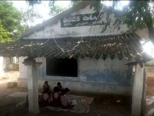 WhatsApp Image 2025-11-12 at 8.14.15 PM